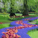 Parc de Keukenhof, Pays-Bas - crédits : © 	Martin Ruegner/ Stone/ Getty Images