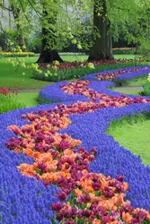 Parc de Keukenhof, Pays-Bas - crédits : © 	Martin Ruegner/ Stone/ Getty Images