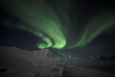 Aurore boréale - crédits : © Wild Arctic Pictures/ Shutterstock