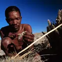 Cueillette au désert du Kalahari - crédits : © Louise Gubb/ Corbis/ Getty Images