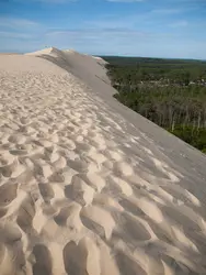 Dune du Pilat - crédits : © LittleMiss/ Shutterstock