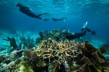 Mer des Caraïbes - crédits : © Stephen Frink/ Getty Images