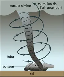 Schéma d’une tornade - crédits : © Encyclopædia Universalis France