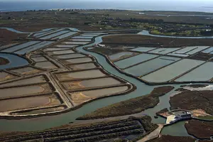 Marais salants