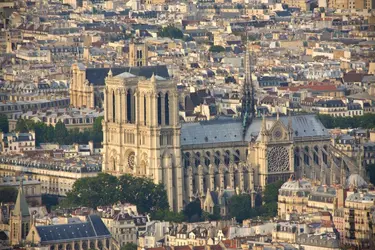 Notre-Dame de Paris - crédits : © Unknown1861/ Shutterstock