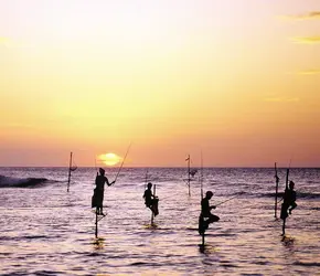 Pêche au Sri Lanka - crédits : © Spectrum Colour Library/Heritage-Images