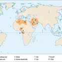 OPEP (Organisation des pays exportateurs de pétrole) - crédits : Encyclopædia Universalis France