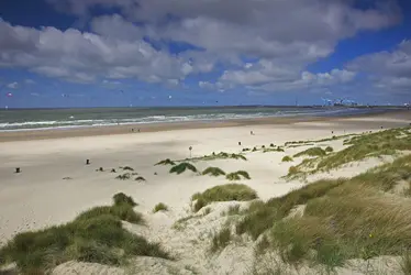 Côte de la mer du Nord, Belgique - crédits : © W. Pattyn/ Blickwinkel/ Age Fotostock