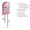 Diode électroluminescente - crédits : © Encyclopædia Universalis France