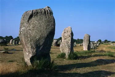 Menhirs, Carnac, Morbihan - crédits : © Chris Hellier/ Getty Images