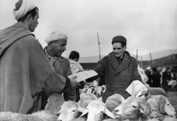 Référendum sur l’autodétermination en Algérie, 1961 - crédits : Keystone/ Getty Images