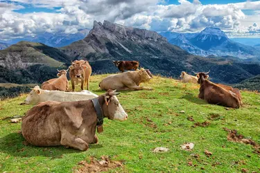 Pyrénées espagnoles - crédits : Westend61/ Getty Images