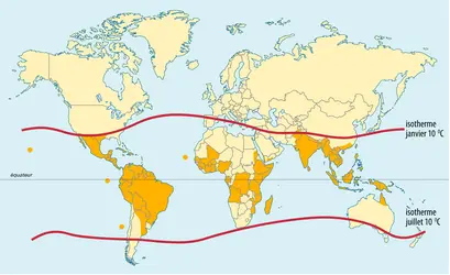 Géographie du vecteur de la dengue et de la fièvre jaune - crédits : Encyclopædia Universalis France