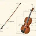 Violon - crédits : Éditions J.M. Fuzeau (Courlay, France)