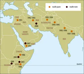 Propagation de la rouille du blé - crédits : Encyclopædia Universalis France