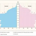 Pyramide des âges de la France, 2006 - crédits : Encyclopædia Universalis France