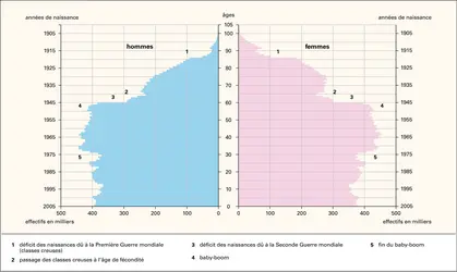 Pyramide des âges de la France, 2006 - crédits : Encyclopædia Universalis France