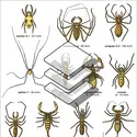 Arachnides - crédits : Encyclopædia Universalis France
