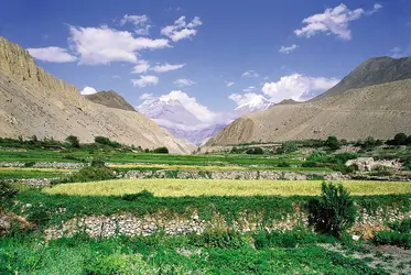 Vallée au Népal - crédits : © Andrew Parkinson/Nature Picture Library