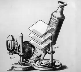 microscope - crédits : © Hulton Archive/ Getty Images