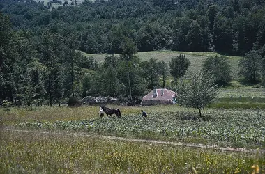 Agriculteurs en Serbie - crédits : © Thomas M. Poulsen