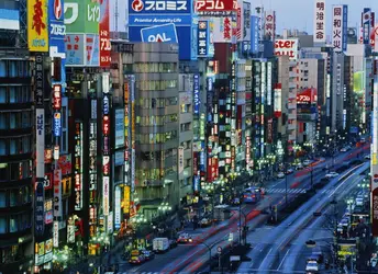 Tokyo, Japon - crédits : Chad Ehlers/ The Image Bank/ Getty Images