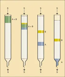 Chromatographie - crédits : Encyclopædia Universalis France