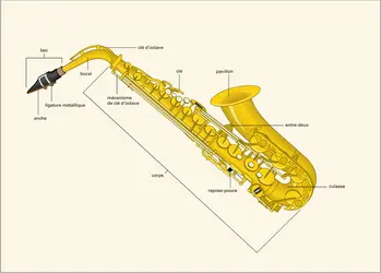 "Saxophone " - crédits : Encyclopædia Universalis France