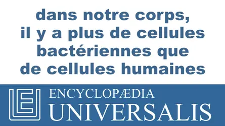 Bactéries - crédits : © 2013 Encyclopædia Universalis