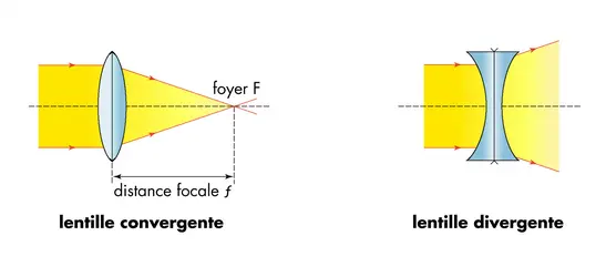 Lentille convergente et lentille divergente - crédits : © Encyclopædia Universalis France