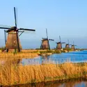 Polder aux Pays-Bas - crédits : Prisma by Dukas/ Universal Images Group/ Getty Images