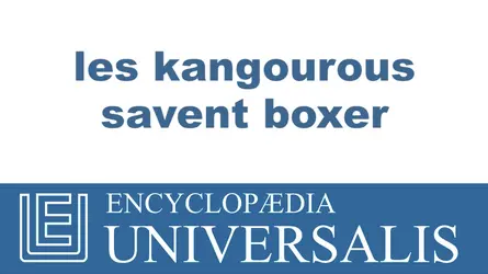 Kangourous - crédits : © 2013 Encyclopædia Universalis