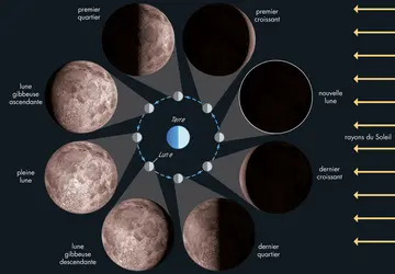 Principales phases de la Lune - crédits : © Encyclopædia Britannica, Inc. Photos Yerkes Observatory, University of Chicago