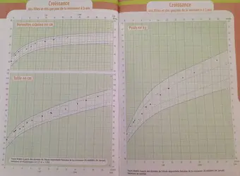 Courbes de croissance d'un petit enfant - crédits : © G. Mouly-Héras