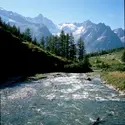 Fleuve Rhône - crédits : Paul Almasy/ Corbis/ VCG/ Getty Images