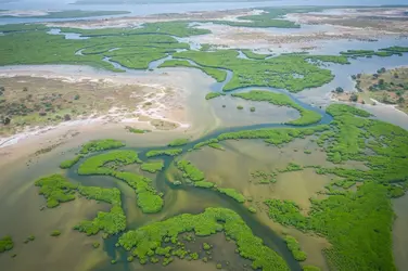 Paysage du Sénégal - crédits : Curioso Photography/ Shutterstock