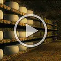 Fabrication du fromage - crédits : Planeta Actimedia S.A.© Encyclopædia Universalis France pour la version française.