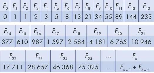 Nombres de Fibonacci - crédits : © Encyclopædia Universalis France
