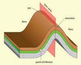 Pli - crédits : © Encyclopædia Universalis France