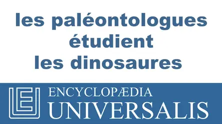 Dinosaures - crédits : © 2013 Encyclopædia Universalis