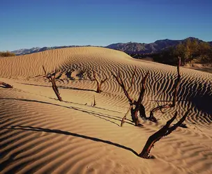 Vallée de la Mort, Californie - crédits : © Mike McQueen/Impact Photos