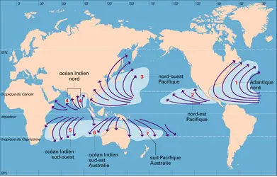 Carte de trajectoires cycloniques - crédits : Encyclopædia Universalis France