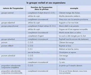 Le groupe verbal - crédits : © Encyclopædia Universalis France