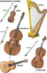 Instruments à cordes - crédits : © Encyclopædia Britannica, Inc.