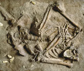 Homme de Néandertal - crédits : © The Natural History Museum, London