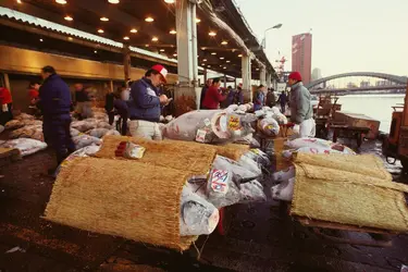 Marché aux poissons, Tokyo, Japon - crédits : Glowimages/ Getty Images