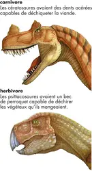 Dinosaures - crédits : © Encyclopædia Britannica, Inc.