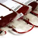 Poches de sang pour transfusion - crédits : © Vladm/ Shutterstock