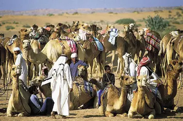 Émirats arabes unis - crédits : © Alain le Garsmeur/Stone