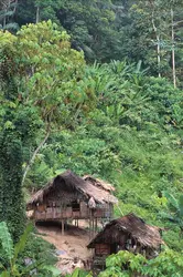 Village dans la jungle en Malaisie - crédits : De Agostini/ Getty Images